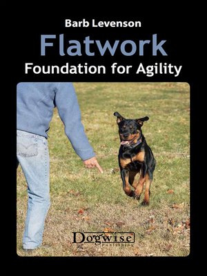cover image of Flatwork